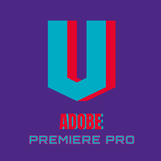 LumiMakr Video Premiere Pro (Light Version)